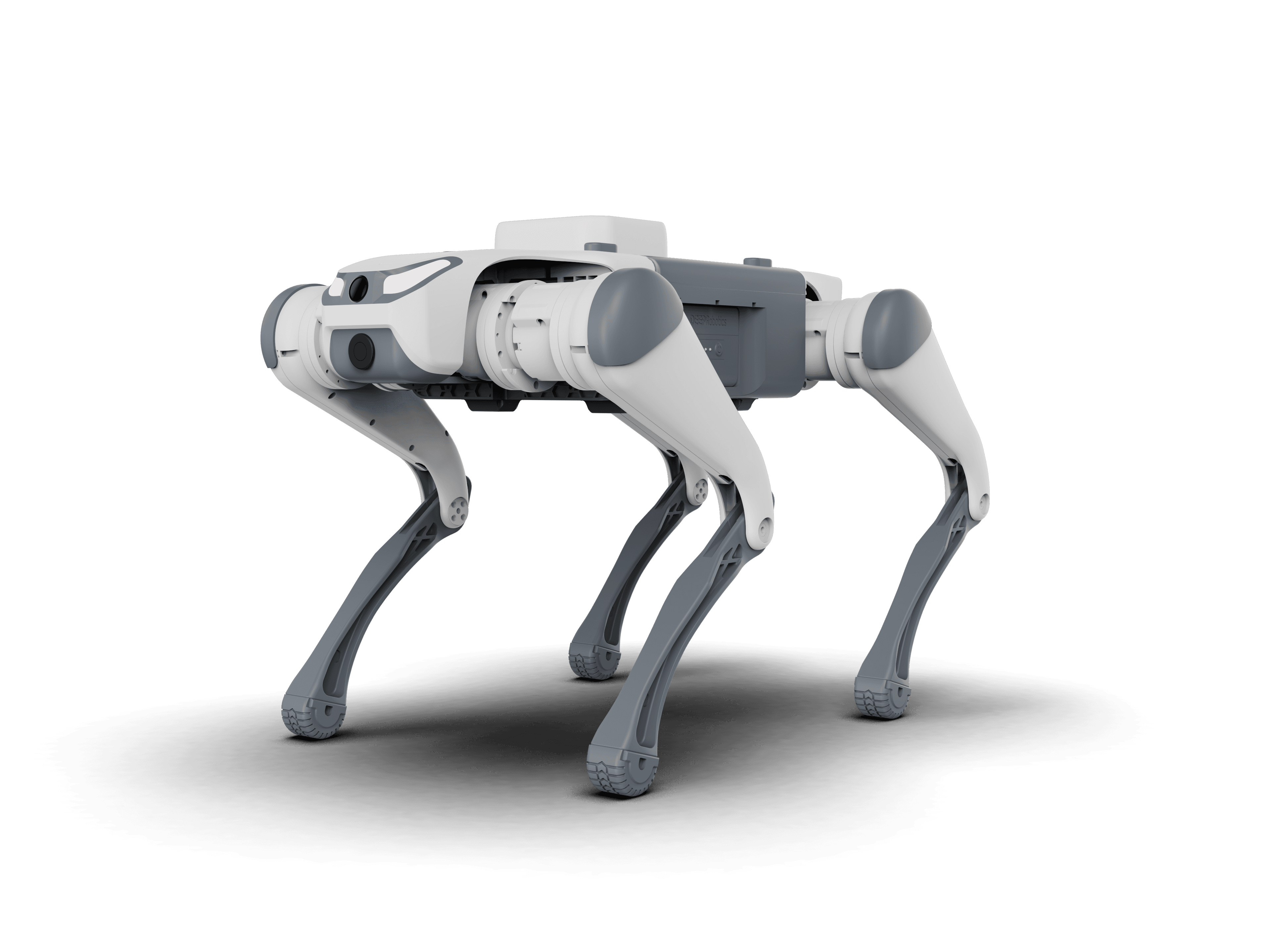 Quadruped robot