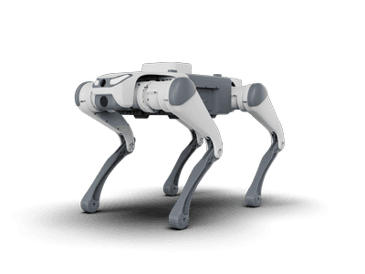Quadruped robot SID1/Lite3 | 12 dof